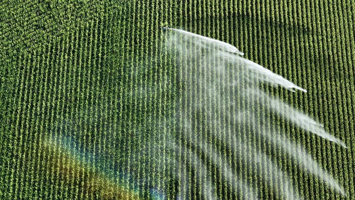 Sprayer working across a crop with the boom out